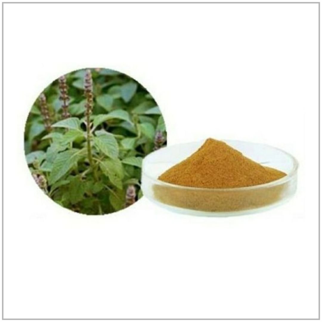 Coleus Extract